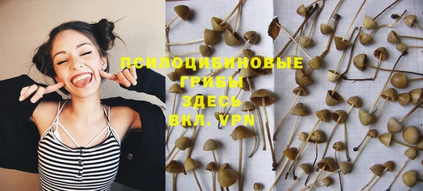 ГАЛЛЮЦИНОГЕННЫЕ ГРИБЫ Баксан
