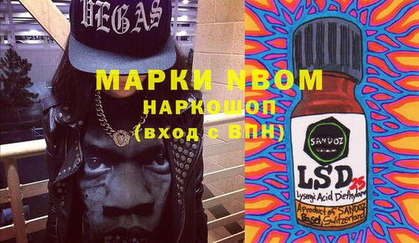 ГАЛЛЮЦИНОГЕННЫЕ ГРИБЫ Баксан