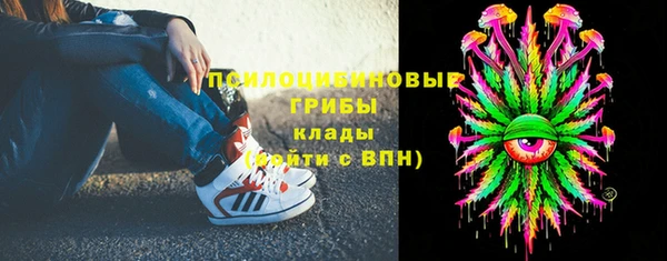 ГАЛЛЮЦИНОГЕННЫЕ ГРИБЫ Баксан