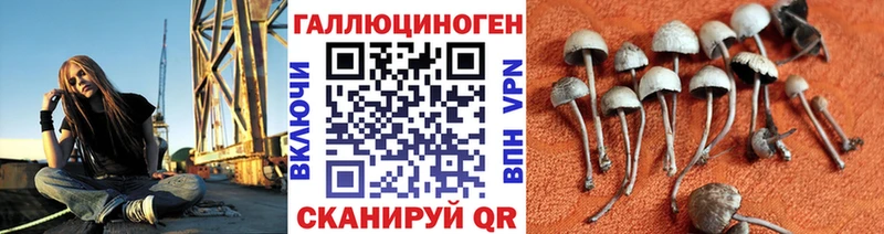 Псилоцибиновые грибы Magic Shrooms  как найти наркотики  Печора 