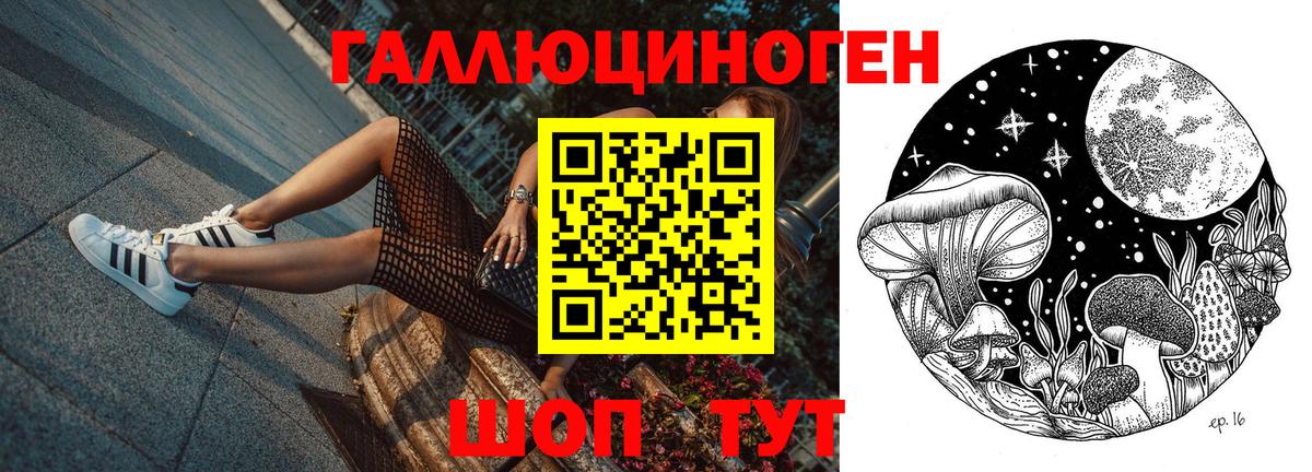Галлюциногенные грибы Psilocybe  Псилоцибиновые грибы ЛСД  Печора  Вход с VPN 