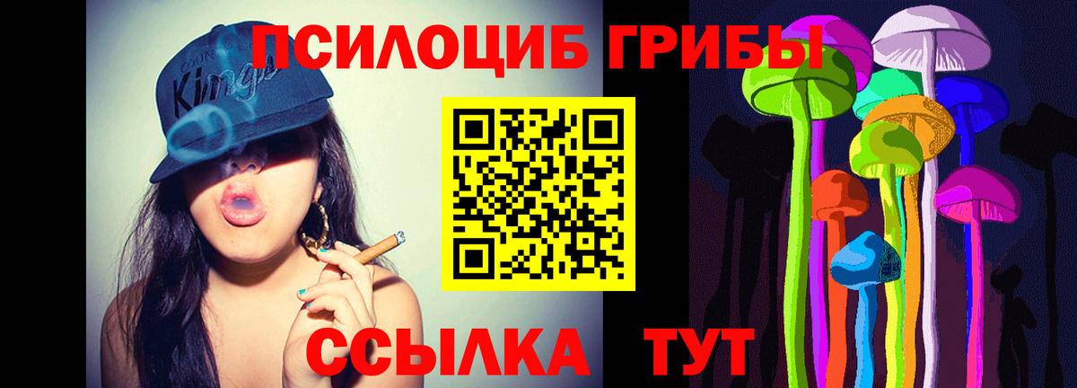 Галлюциногенные грибы Magic Shrooms Печора